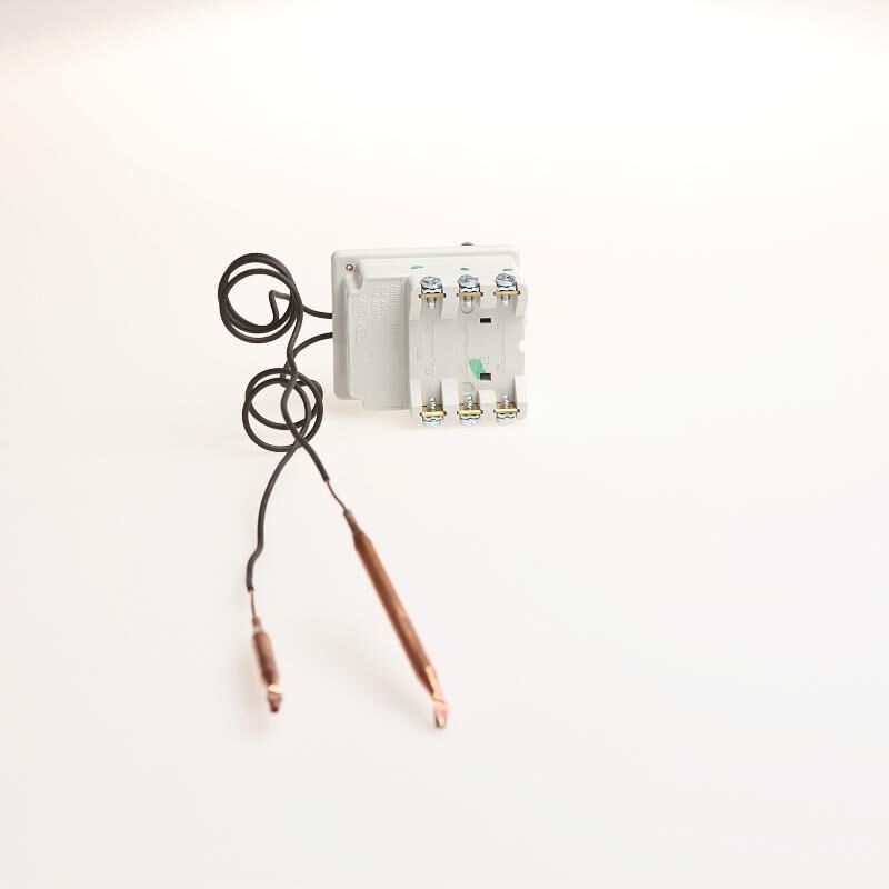 DRAŽICE Termostat dlouhá hřídelka 6405608